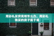 用彩礼买房离婚怎么办，用彩礼钱买的房子属于谁