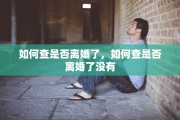如何查是否离婚了，如何查是否离婚了没有