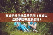 离婚调解流程（离婚调解流程图）