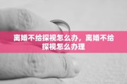 离婚不给探视怎么办，离婚不给探视怎么办理