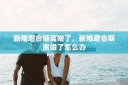 新婚磨合期离婚了，新婚磨合期离婚了怎么办