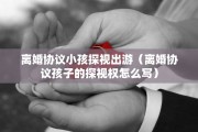 离婚协议小孩探视出游（离婚协议孩子的探视权怎么写）