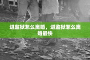 进监狱怎么离婚，进监狱怎么离婚最快