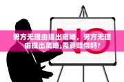 男方无理由提出离婚，男方无理由提出离婚,需要赔偿吗?