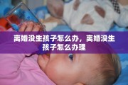 离婚没生孩子怎么办，离婚没生孩子怎么办理
