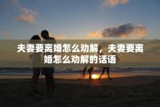 夫妻要离婚怎么劝解，夫妻要离婚怎么劝解的话语