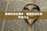 离婚的诉讼条件，离婚的诉讼条件是什么