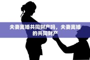 夫妻离婚共同财产吗，夫妻离婚的共同财产