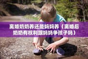 离婚奶奶养还是妈妈养(离婚后奶奶有权利跟妈妈争孩子吗) 离婚奶奶养还是妈妈养(离婚后奶奶有权利跟妈妈争孩子吗)