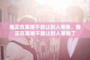 我正在离婚不能让别人等我，我正在离婚不能让别人等我了