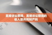 离婚诉讼期间，离婚诉讼期间的收入算共同财产吗