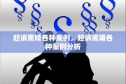 起诉离婚各种案例，起诉离婚各种案例分析