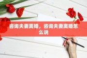 咨询夫妻离婚，咨询夫妻离婚怎么说