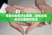 婚姻法离婚诉讼离婚，婚姻法离婚诉讼离婚的规定