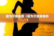 因为欠债离婚（因为欠债离婚的）