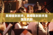 离婚碰到前夫，离婚碰到前夫是医生的剧