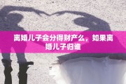 离婚儿子会分得财产么，如果离婚儿子归谁