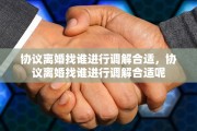 协议离婚找谁进行调解合适，协议离婚找谁进行调解合适呢