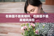 在韩国不能离婚吗，在韩国不能离婚吗现在