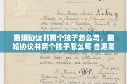 离婚协议书两个孩子怎么写，离婚协议书两个孩子怎么写 自愿离婚协议书