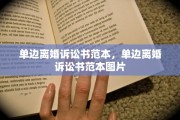 单边离婚诉讼书范本，单边离婚诉讼书范本图片