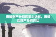 离婚财产分割民事上诉状，离婚后财产分割诉状