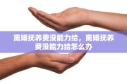 离婚抚养费没能力给，离婚抚养费没能力给怎么办