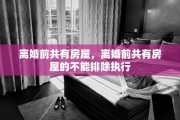 离婚前共有房屋，离婚前共有房屋的不能排除执行