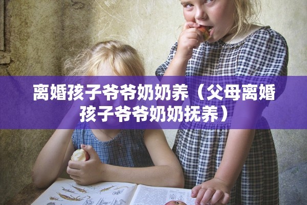 第二次离婚答辩状，第二次离婚答辩状范文