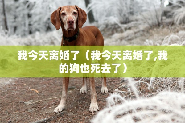 离婚户口没迁走结婚,离婚户口没迁走结婚怎么办 离婚户口没迁走结婚,离婚户口没迁走结婚怎么办