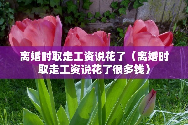 离婚时取走工资说花了(离婚时取走工资说花了很多钱) 离婚时取走工资说花了(离婚时取走工资说花了很多钱)