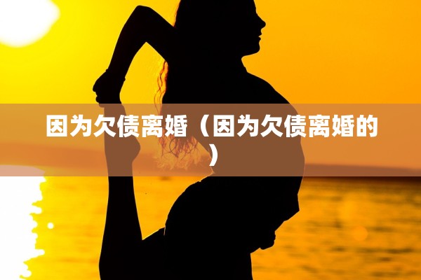 因为欠债离婚（因为欠债离婚的）
