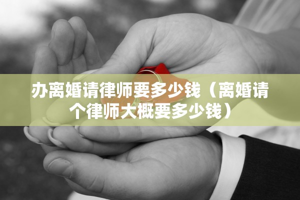 办离婚请律师要多少钱（离婚请个律师大概要多少钱）