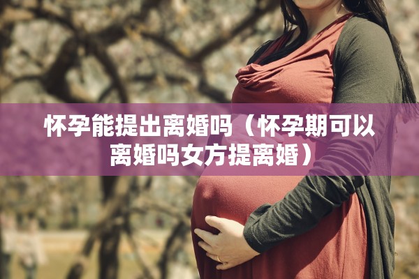 怀孕能提出离婚吗（怀孕期可以离婚吗女方提离婚）