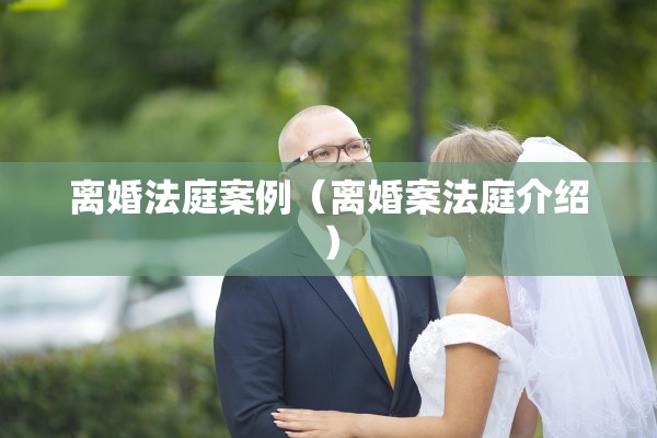 离婚法庭案例（离婚案法庭介绍）