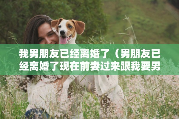 我男朋友已经离婚了（男朋友已经离婚了现在前妻过来跟我要男朋友给我花的钱）