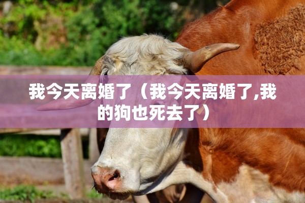 离婚后还共同生活，离婚后还共同生活在一起经济转账属于赠与吗