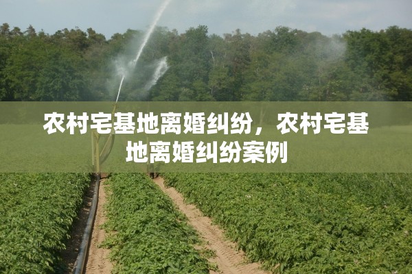 农村宅基地离婚纠纷，农村宅基地离婚纠纷案例