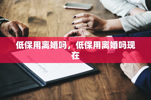 离婚纠纷可以上诉吗，