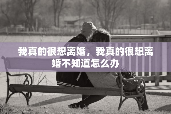 我真的很想离婚，我真的很想离婚不知道怎么办