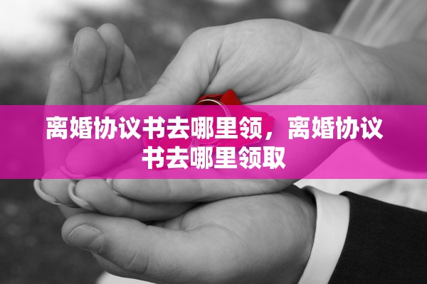 离婚协议书去哪里领，离婚协议书去哪里领取