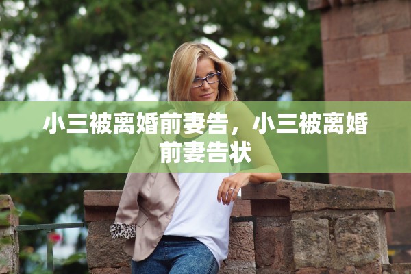 小三被离婚前妻告，小三被离婚前妻告状