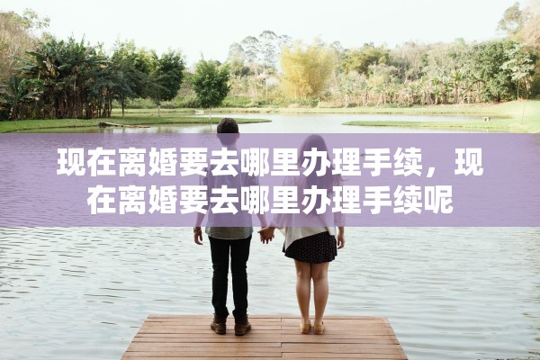 现在离婚要去哪里办理手续，现在离婚要去哪里办理手续呢
