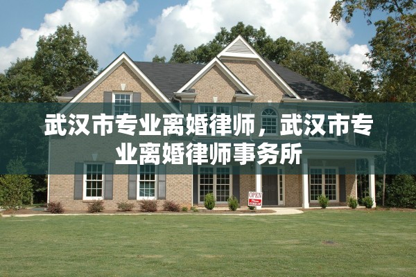 武汉市专业离婚律师，武汉市专业离婚律师事务所