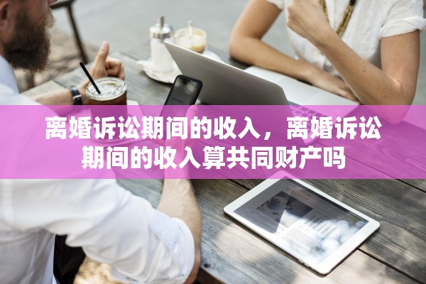 离婚诉讼期间的收入，离婚诉讼期间的收入算共同财产吗