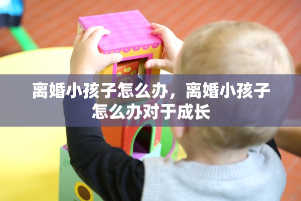 离婚小孩子怎么办，离婚小孩子怎么办对于成长