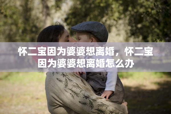 怀二宝因为婆婆想离婚，怀二宝因为婆婆想离婚怎么办