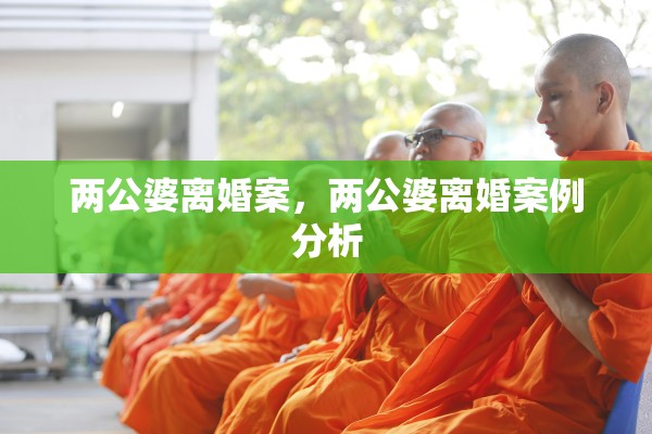 两公婆离婚案，两公婆离婚案例分析