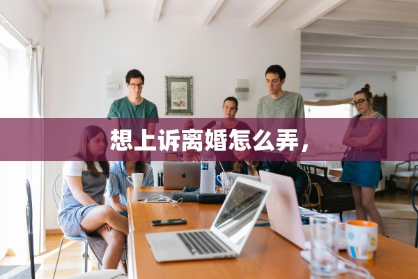想上诉离婚怎么弄，