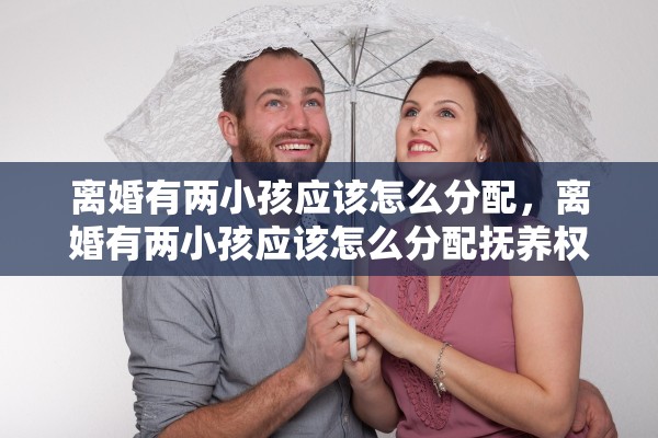离婚有两小孩应该怎么分配，离婚有两小孩应该怎么分配抚养权呢